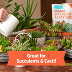 Back to The Roots 100% Organic Succulent & Cacti Mix (6 Quart) | Made in The USA | Premium Nutrition for Indoor and Outdoor Plants