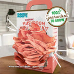 Back to The Roots Organic Pink Miniature Mushroom Grow Kit, Harvest Gourmet Mushrooms in 10 Days