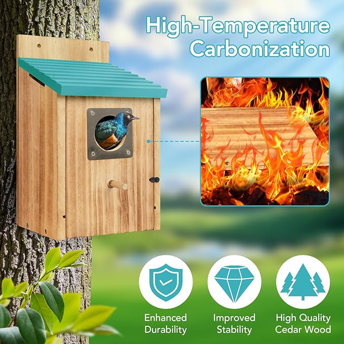 2 Pack Bird Houses for Outside - Cedar Bluebird Houses with Metal Predator Guard, Birdhouse for Wren Bluebirds Finches Swallows, Carbonized Wooden (Assembly Required)