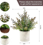2 Pack Small Fake Plants Christmas Greenery Eucalyptus Potted Artificial Plants for Shelf Desk Home Bathroom Farmhouse Room Coffee Table Decor Christmas Decor(Purple)