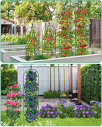 MYMULIKE Garden Trellis for Climbing Plants Outdoor & Indoor - 6Ft Tall Rustproof Plant Support Cage for Vines, Flowers, Vegetables, Roses | Heavy-Duty, Adjustable & Decorative (3)