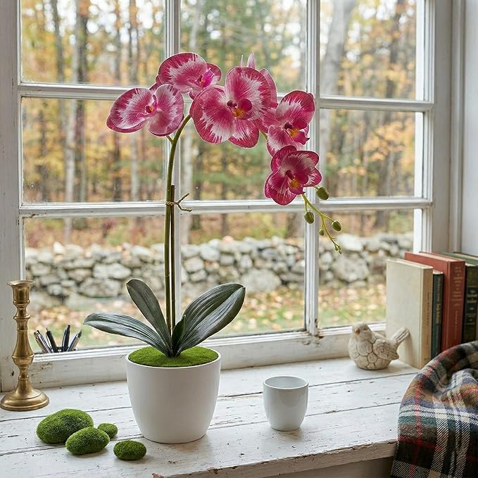 Artificial Orchid Flowers in Pot, 12" Real Touch Phalaenopsis Faux Orchid Plant with Fake Moss, Small Artificial Flowers Arrangement for Home Decor Indoor, Bathroom, Office Table C (Rose Red)