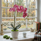 Artificial Orchid Flowers in Pot, 12" Real Touch Phalaenopsis Faux Orchid Plant with Fake Moss, Small Artificial Flowers Arrangement for Home Decor Indoor, Bathroom, Office Table C (Rose Red)
