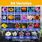Home Grown Premium Wildflower Seeds Bulk - 60,600+ Perennial Flower Seeds Mix for Planting Outdoors - 24 Variety Wildflower Seed Mix - Attracts Bees, Butterflies & Birds - 2oz Wild Flower Seeds