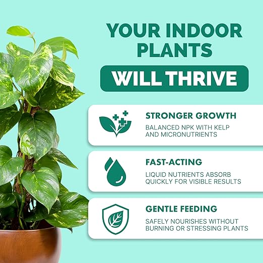 Indoor Plant Food – Liquid Fertilizer for Houseplants, New Growth, Greener Leaves, and Strong Roots, 8oz