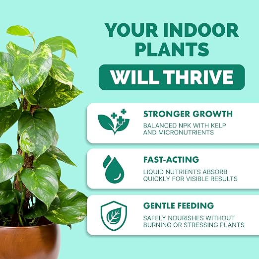 Indoor Plant Food – Liquid Fertilizer for Houseplants, New Growth, Greener Leaves, and Strong Roots, 32oz