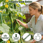 Miory Cucumber Trellis, 63" Tall U Shape Trellis for Raised Bed, Garden Arch Trellis for Climbing Plants Outdoor, Plant Support for Vegetables Vines, Steel with PE Coated (48“Lx32”Wx63“H)