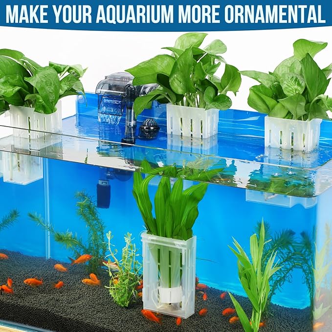Borlech Upgraded Large Aquarium Plant Holder with Hooks and Suction Cups for Fish Tank Aquaponic Plant Cultivation and Aquascape Decorations (Semitransparent)