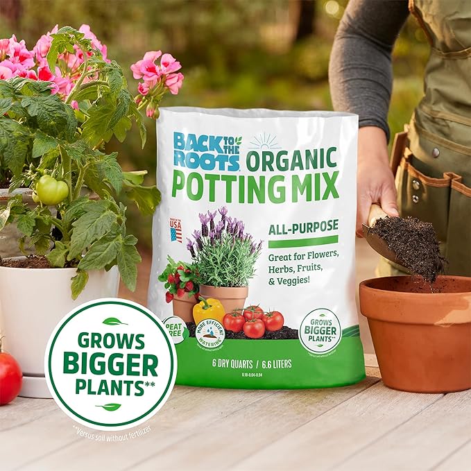 Back to The Roots 100% Organic Potting Mix (6 Quart) Premium Blend Made in The USA
