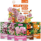 Groundio Milkweed Seeds for Planting, Attract Monarch Butterflies & Pollinators, 5 Individual Packs Flower Seeds -Tropical, Butterfly, Common, Showy, Pink Swamp, Non-GMO Perennial Wildflower Seeds
