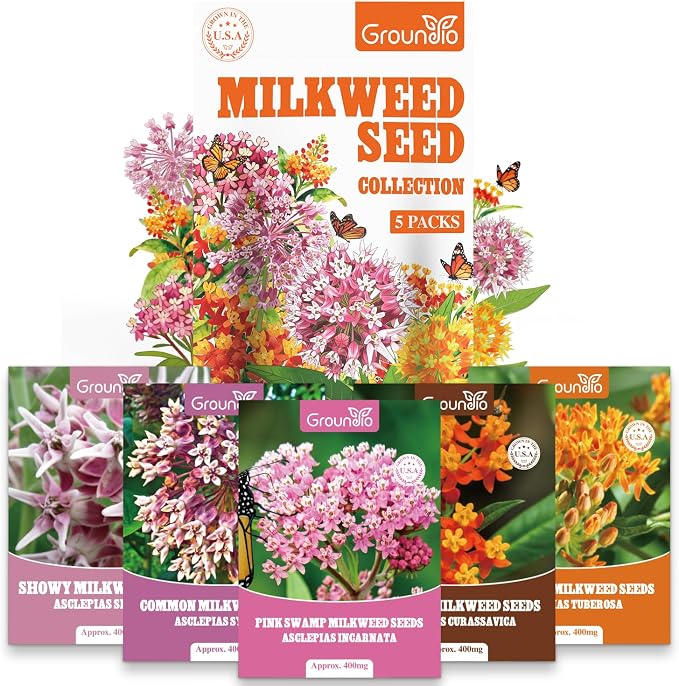 Groundio Milkweed Seeds for Planting, Attract Monarch Butterflies & Pollinators, 5 Individual Packs Flower Seeds -Tropical, Butterfly, Common, Showy, Pink Swamp, Non-GMO Perennial Wildflower Seeds