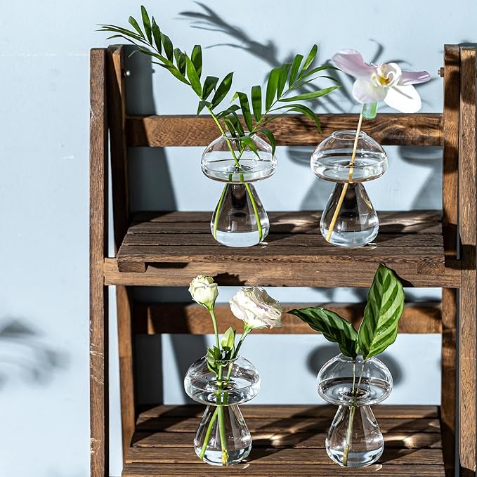 Mushroom Glass Planter, Plant Propagation Station, Cute Mushroom Vase, Clear Glass Terrarium Jar Propagation Vase for Indoor Plants Home Decor, Gifts for Plant Lovers (4)