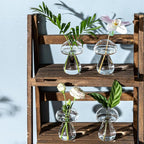 Mushroom Glass Planter, Plant Propagation Station, Cute Mushroom Vase, Clear Glass Terrarium Jar Propagation Vase for Indoor Plants Home Decor, Gifts for Plant Lovers (4)