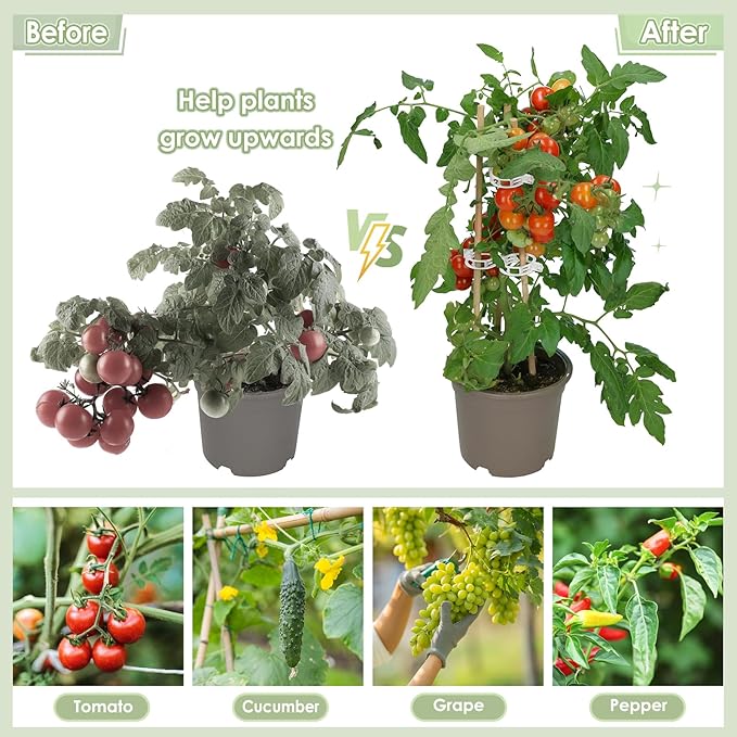 200 PCS Plant Support Clips - Reusable Tomato Clips for Climbing Plants Secured Plastic Garden Trellis Clips Plant Fixing Clips for Tomato Grape Cucumber Vine