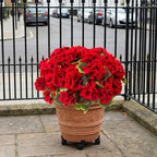 lovemoon 8 Pcs Artificial Geranium Plant Realistic Silk Flowers for Outside UV Resistant Faux Geraniums Flowers for Indoor Outdoor Home Garden Office Decoration (8, Red)