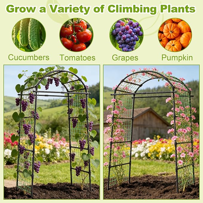 Miory Garden Arch Trellis for Climbing Plants Outdoor, 7ft Tall Plants Support Trellis for Climbing Vine Tomato Vegetable Flower Fruit, Cucumber Trellis for Raised Bed (32 x 83 Inch)