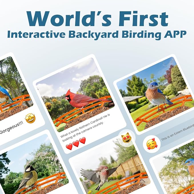Smart Bird Feeder with Camera, 2K HD Birdwatching Camera with AI Identify Bird Species & Solar Panel, Auto Video Capture & Instant Notifications, for Dad Granpa Birdlovers