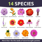 Monarch Butterfly Rescue Mix - Large 1 Ounce Packet - 11,000 Flower Seeds for Planting - Wildflower Mix