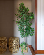 BLAINE | Ficus 59in | Decorative Artificial Plants | Large Artificial Plant | Artificial Plants for Indoor/Outdoor use | Realistic Decorative Artificial Plant for Home