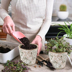 Beeveer Farmhouse Ceramic Planter 5.5 Inch Large Plants Pot Ice Crack Beige Green Floral Vines Plant Pots with Drainage Hole Indoor Plants Kitchen Rustic Antique Decor Gift
