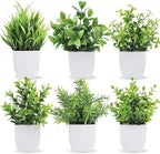 Der Rose 6 Pack Small Fake Plants Artificial Plants in Pots for Home Bthroom Bedroom Living Room Decor Indoor（Green）