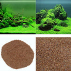 3-Pack Dwarf Leaf Aquarium Plants S.e.e.ds, Easy-Growing Freshwater Aquarium Plants for Fish Tank Decorations