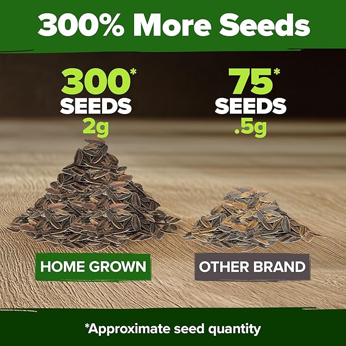 HOME GROWN Will Rogers Zinnia Seeds - 300 Zinnia Flower Seeds for Planting Outdoors - Tall Zinnia Elegans Cut Flowers - Heirloom Non-GMO Zinnia Seeds for 2026 (Zinnia Elegans)