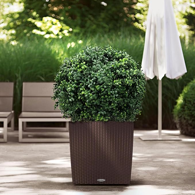 21-Inch Artificial Topiary Boxwood Ball Trees (Set of Two) – Lifelike, UV-Resistant Decor for Indoor & Outdoor Use – Enhance Your Space with Vibrant Greenery