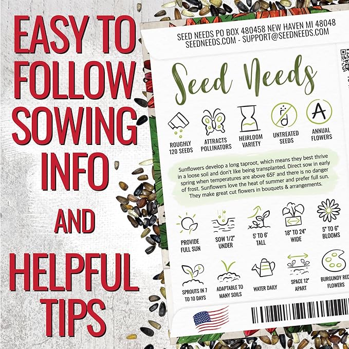 Seed Needs Sunflower Seeds for Planting Red Sun Sunflowers - Heirloom & Open Pollinated Annual Flowering Plants to Grow a Butterfly Garden to Attract Pollinators (2 Packs)