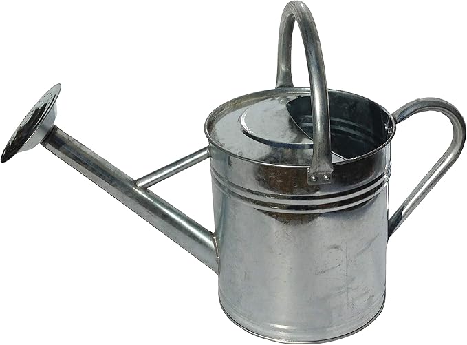 Gardener's Select AW3003P6G Watering Can, Galvanized, 3.5 L