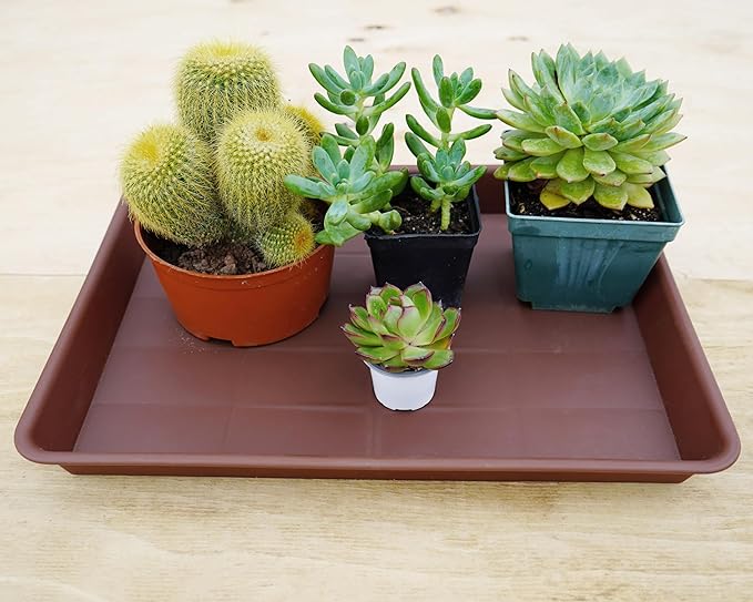 VUWEZ Rectangle Plant Tray, Plant Drip Tray, Plant Pot Saucers, Plant Germination Trays, Plant Saucers, 14.5'' x 11'' x 1.5'' (2 pack), Chocolate