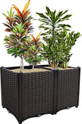 Raised Garden Beds Planters for Outdoor Plants Box Plastic Elevated Garden Bed Kit for Vegetables Flowers Herbs in Backyard Patio Balcony