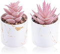 Der Rose Set of 2 Succulents Plants Artificial Mini Fake Succulents Plants for Office Desk Accessories for Women Pink Home Vanity Decor