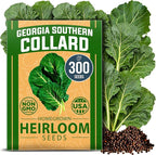 HOME GROWN Collard Greens Georgia Southern 300+ Heirloom Non GMO Seeds for Planting, High Germination, Heat & Cold Tolerant, Slow to Bolt, Nutritious Leafy Greens, Southern Cooking (Brassica oleracea)
