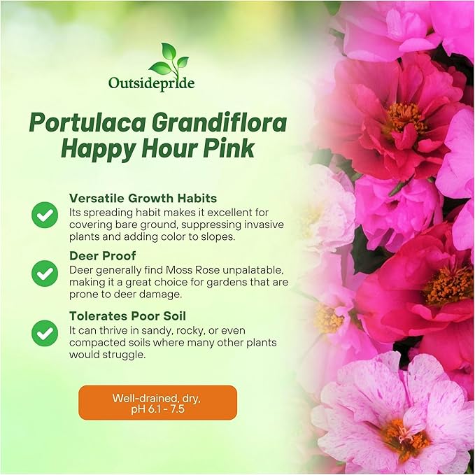 Outsidepride Pink Mixed Moss Rose Seeds - 250 Pcs Annual, Drought & Heat Tolerant, Pollinator Friendly Ground Cover Seeds for Planting w/Vibrant Blooms & Succulent Foliage, Ideal for Xeriscaping