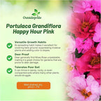 Outsidepride Pink Mixed Moss Rose Seeds - 250 Pcs Annual, Drought & Heat Tolerant, Pollinator Friendly Ground Cover Seeds for Planting w/Vibrant Blooms & Succulent Foliage, Ideal for Xeriscaping