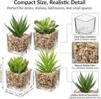 Briful Set of 4 Succulents Plants Artificial in Clear Glass Pots Small Fake Succulents Plants Mini Faux Plants Indoor for Window Sill Office Table Desk Shelf Bathroom Decor