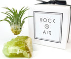 Small Green Calcite Geode Crystal Air Plant Holder Includes Healthy Live Air Plant Gift Box - Zen Plant Decor for Crystal and Plant Lovers