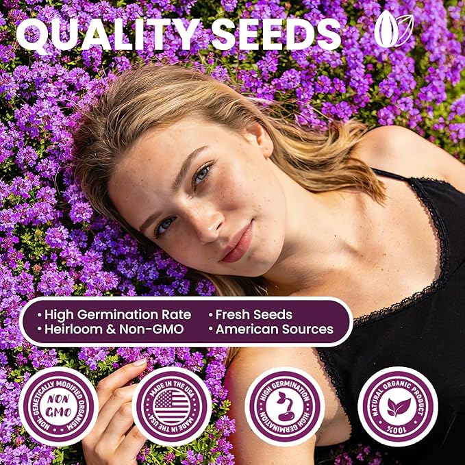 20000+pcs Creeping Thyme Seeds for Planting, Perennial Ground Cover Plants Heirloom Flowers Seeds Fragrant Herb Seeds for Lawns & Paths Garden