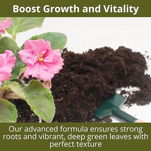 GARDENWISE 3-1-2 African Violet Fertilizer for Indoor Plants: Liquid Fertilizer with Essential Micronutrients Drops - Plant Food for African Violets (8 oz)