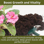 GARDENWISE 3-1-2 African Violet Fertilizer for Indoor Plants: Liquid Fertilizer with Essential Micronutrients Drops - Plant Food for African Violets (8 oz)