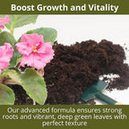 GARDENWISE 3-1-2 African Violet Fertilizer for Indoor Plants: Liquid Fertilizer with Essential Micronutrients Drops - Plant Food for African Violets (32 OZ)