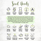 Seed Needs Tomato Seeds for Planting Black Cherry Tomatoes - Non-GMO Heirloom & Untreated Indeterminate Variety to Plant a Home Grown Outdoor Vegetable Garden (5 Packs)