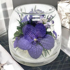 Fiora Flower Elegant Orchid Arrangement in Glass Vase | Preserved Real Orchids Lasting 5 Years | Ideal for Home Decor or Romantic Gift