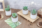 Der Rose Set of 4 Succulents Plants Artificial Fake Plants for Living Room Bathroom Bedroom Aesthetic Home Kitchen Decor