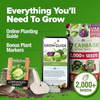 HOME GROWN Cabbage Seeds 7 Variety Mix 2000+ Heirloom Non-GMO, High Germination, Bok Choy, Red & Green Acre, Savoy, Napa Michihili, Copenhagen Market, Jersey Wakefield, Cold Hardy