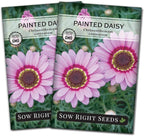 Sow Right Seeds - Painted Daisy Seeds for Planting - Non-GMO Heirloom Seeds Packet with Instructions - Wonderful Pink Blooms to Attract Pollinators - Cut and Come Again - Rare and Attractive (2)