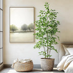 Bailikang Artificial Ficus Tree Indoor 6ft, Large Potted Faux Tree with Realistic Silk Leaves & Trunk for Home Office, Living Room Corner Decor