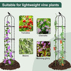FOLLOOK Garden Trellis for Climbing Plant Outdoor, 67" Tall Round Cucumber Trellis Plant Supports for Vines Flower Climbing Rose Clematis Vegetable Tomato Trellis, 1PC, Black