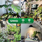 SANSI Grow Lights for Indoor Plants, Full Spectrum 24W Grow Light Bulbs (300 Watt Equivalent) with Optical Lens for High PPFD, Natural Daylight Efficiency Plant Lights for Indoor Growing Seed Starting